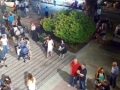 sagra-maccheroni-2015-07
