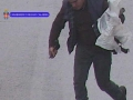 arresti-cinquefrondi-3