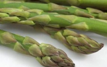 Insalata di asparagi selvatici