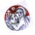 Belvedere Marittimo (CS), lodevole iniziativa in memoria di don Luigi Cianni