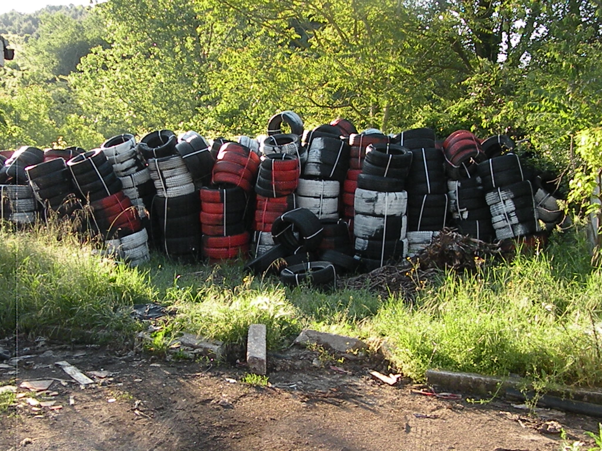 interpellanza morano