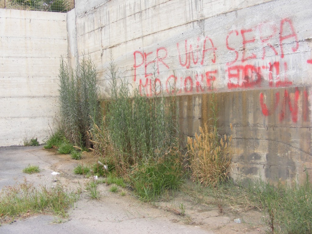 fogna condofuri