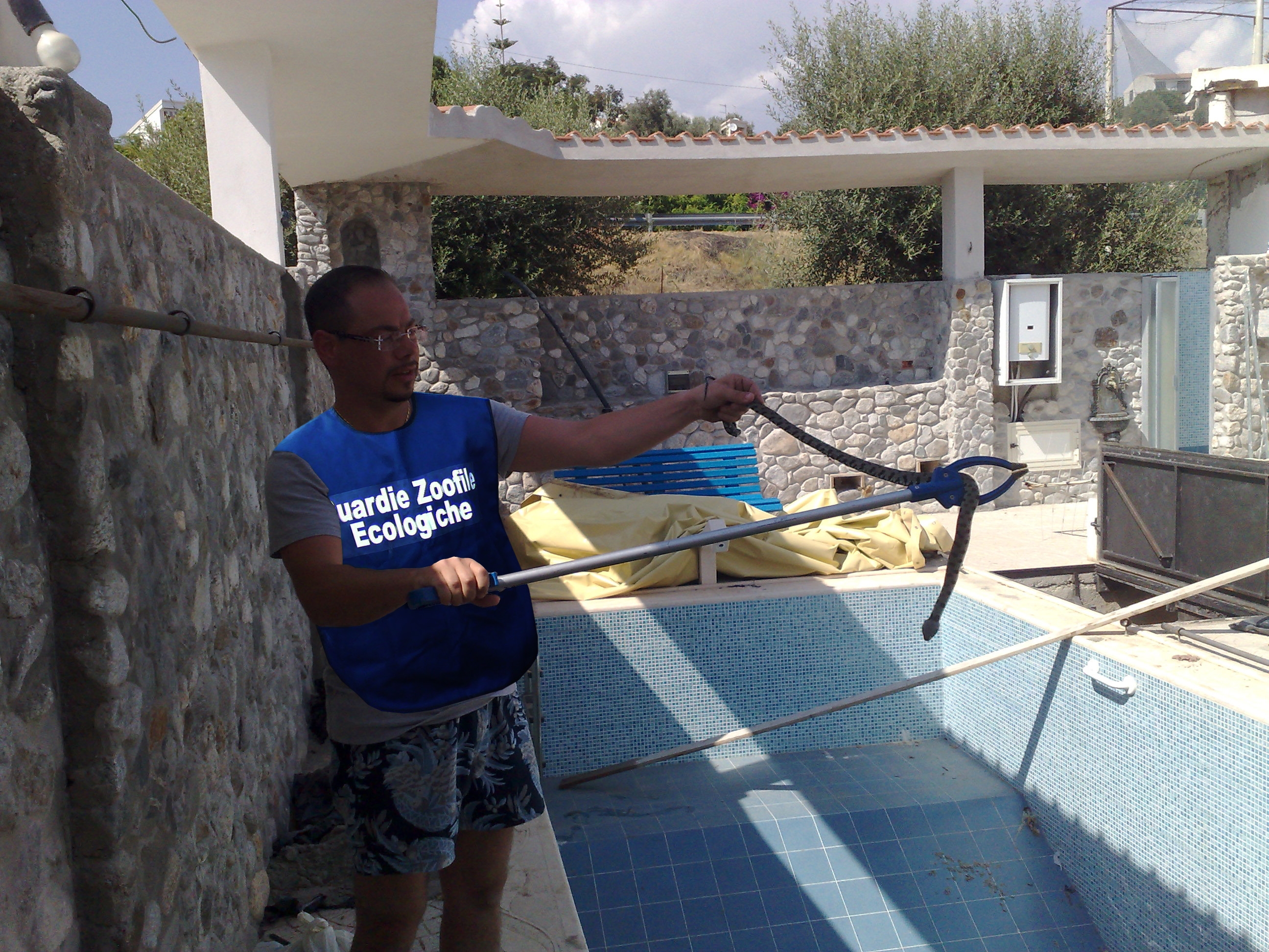 Bombino con esemplare catturato