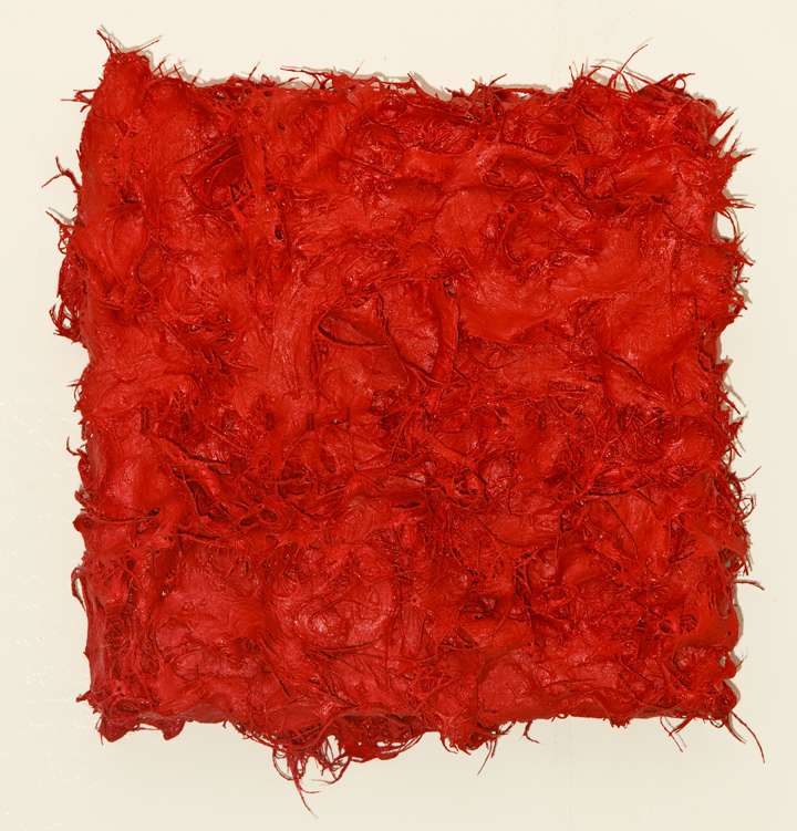 Cordì monochromeREDw 2010 30 x30 guaina liquida