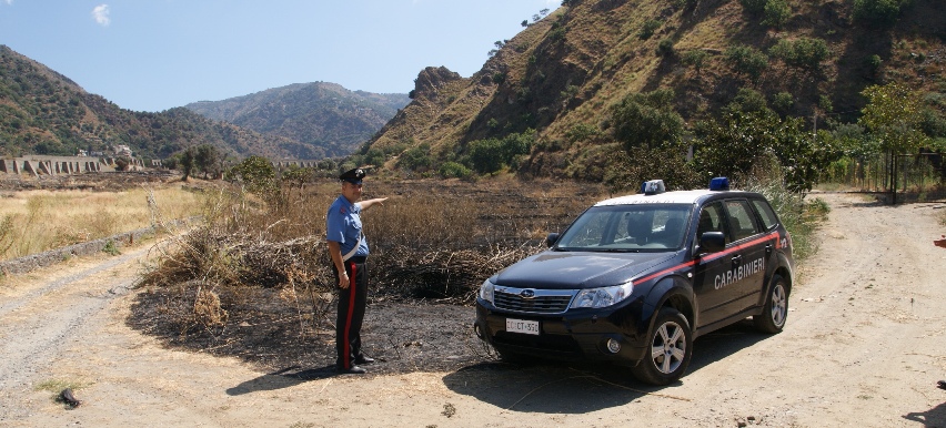 incendio boschivo cc