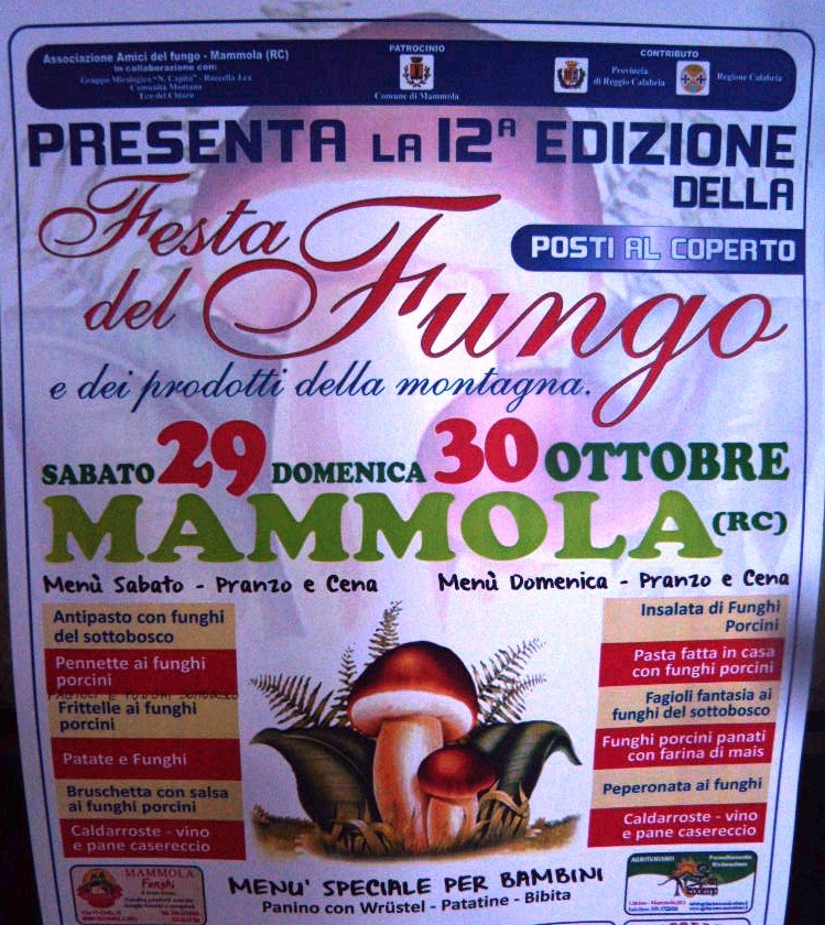 2011 Mammola (RC) - Festa del Fungo