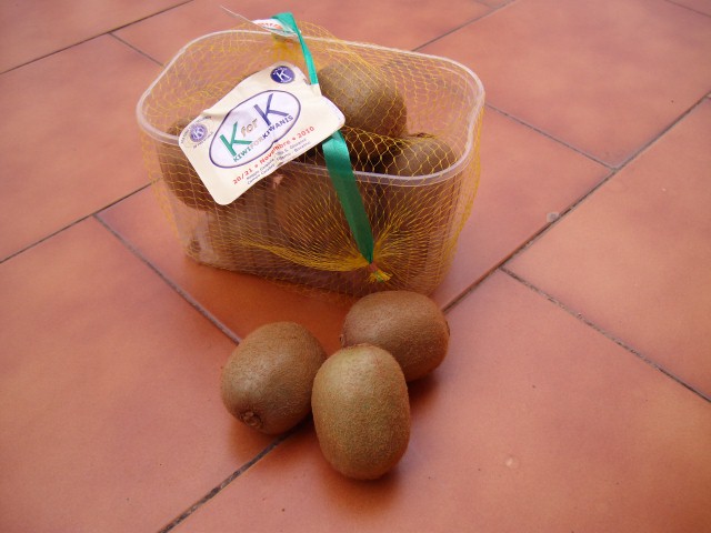 Il_cestello_con_i_Kiwi_del_Kiwanis