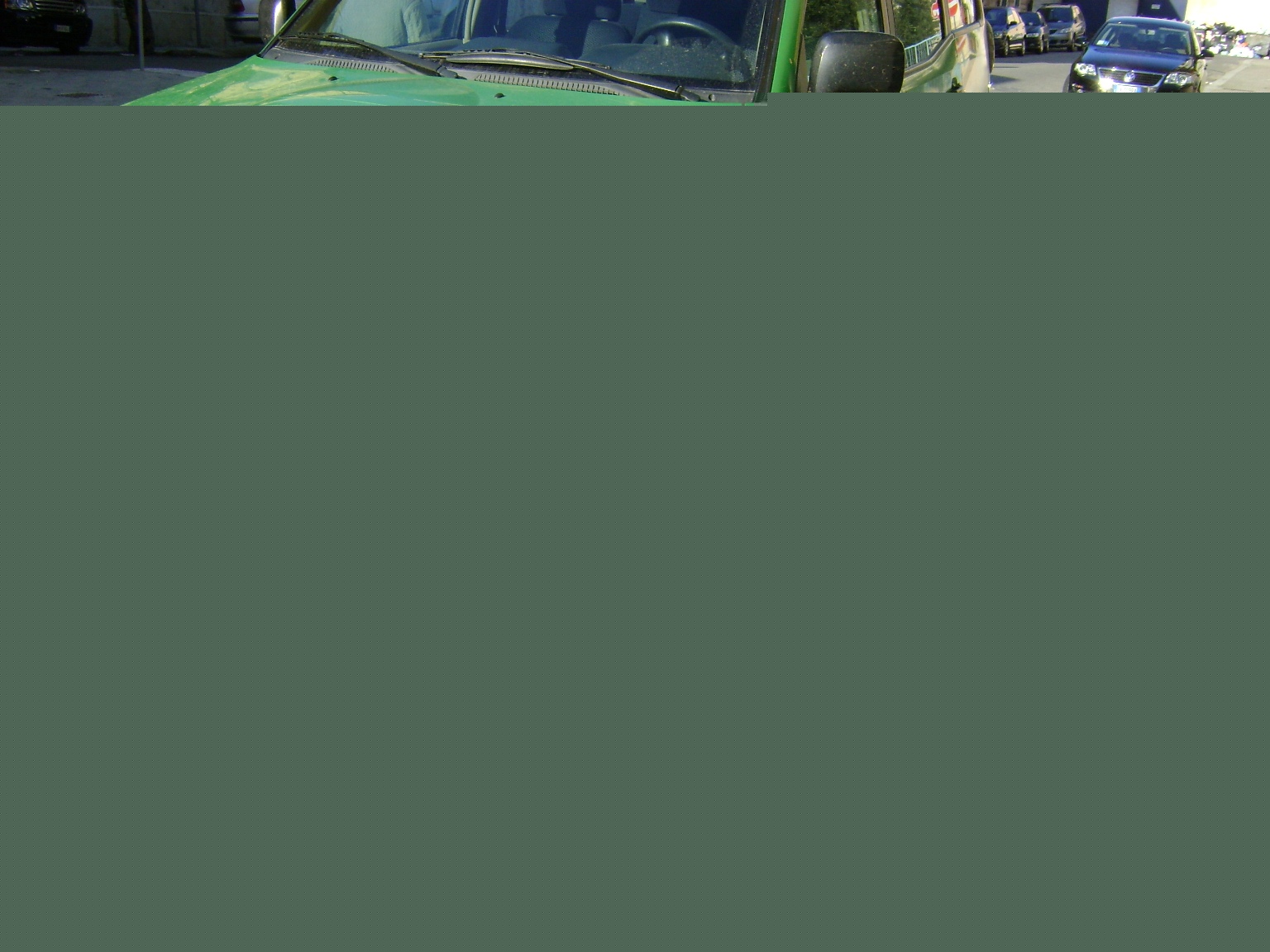 corpo forestale-funghi non commestibili