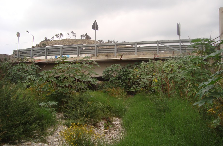 sotto ponte coperto da fitta vegetazione spontanea