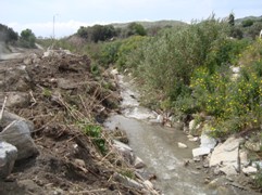 tratto torrente oliveto