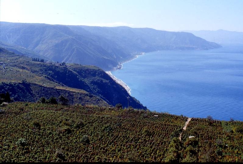 Costa Viola da Nord - pellegrina di bagnara