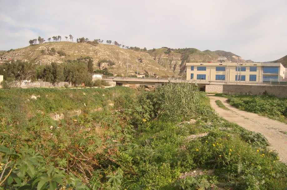 fitta vegetazione torrente