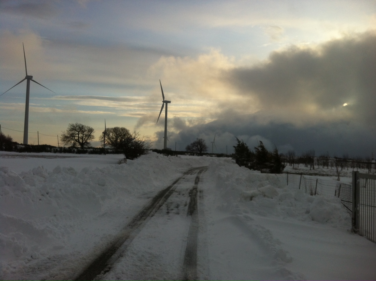 nevicata 8 febbraio 2012 Piani di Lopa Bagaladi