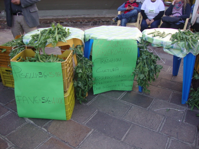 SAGRA PISELLI-210412