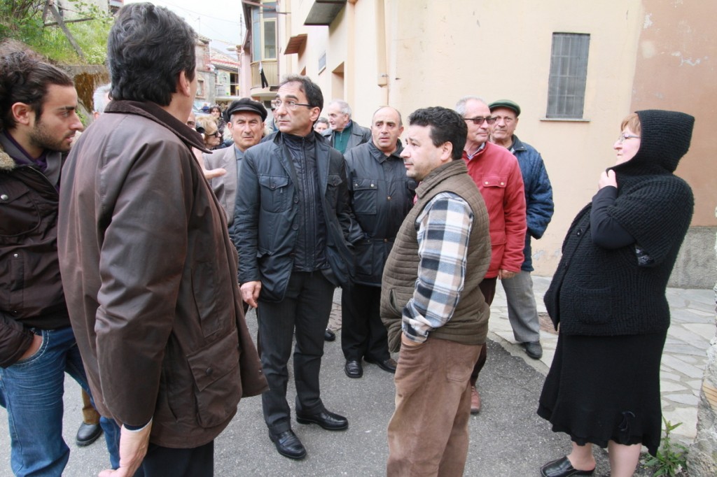 vicenzale