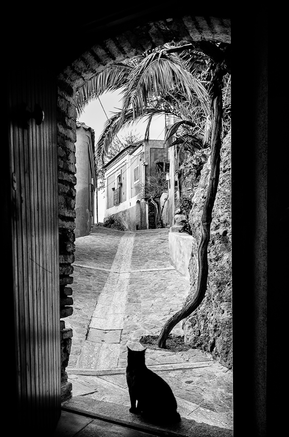 Fabio Orlando 1 premio migliore autore