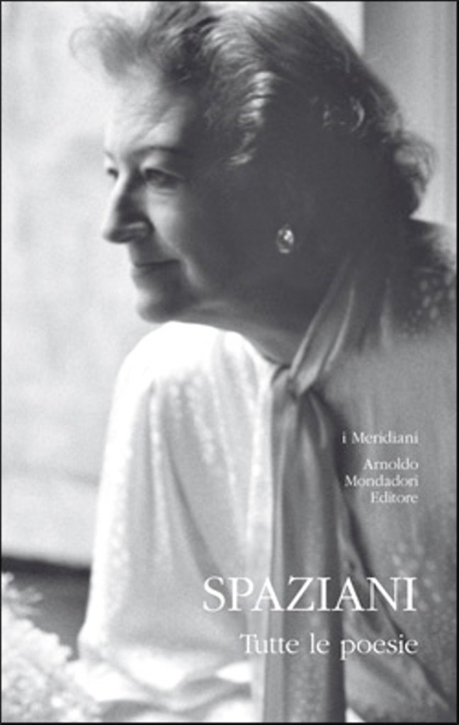 Reggio Calabria, il Cis ospita nella