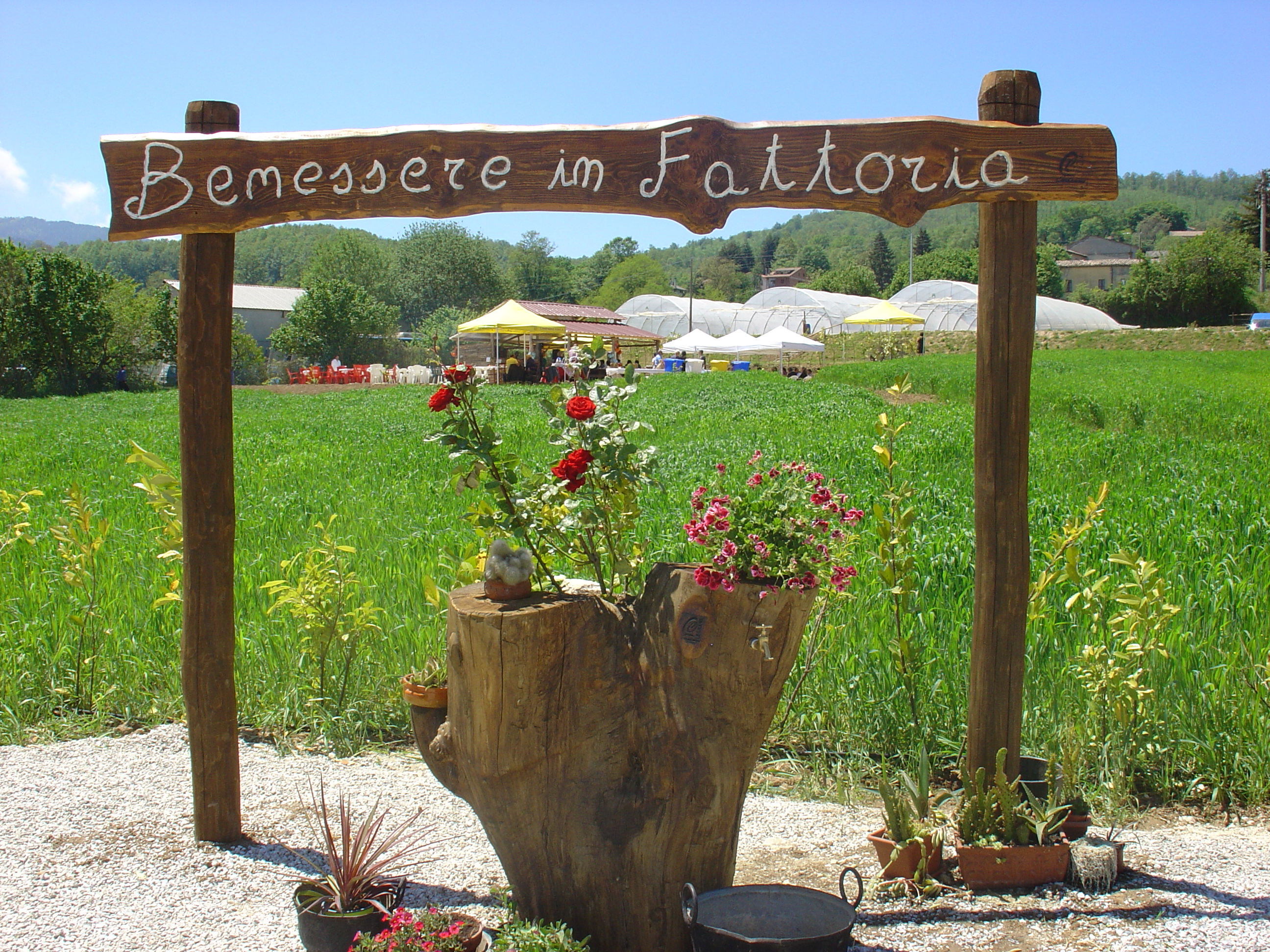 iniziativa decollatura