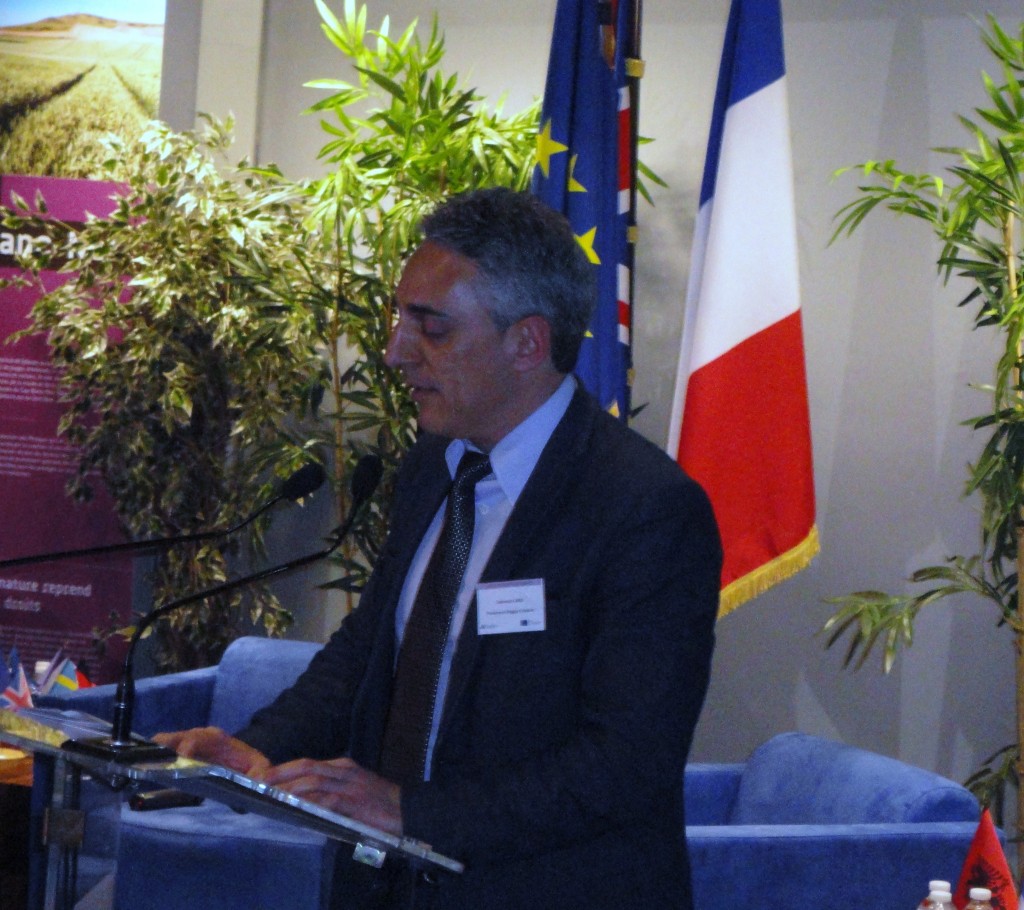 consigliere cara