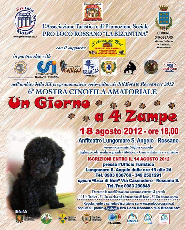 locandina VI mostra 2102