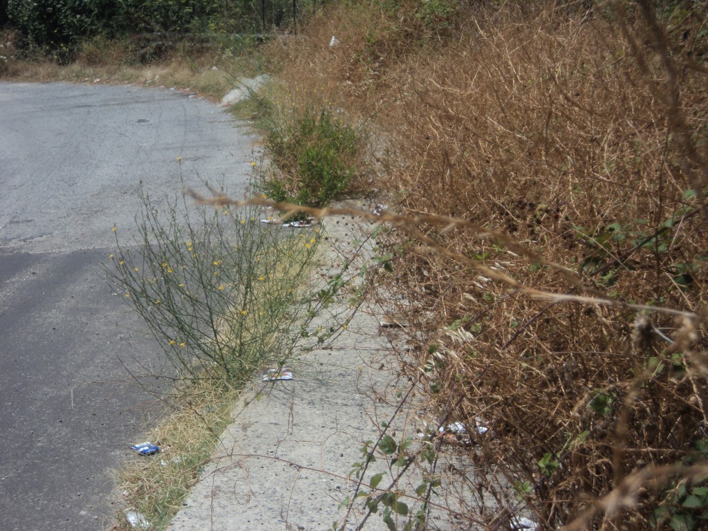 strada vv-piscopio