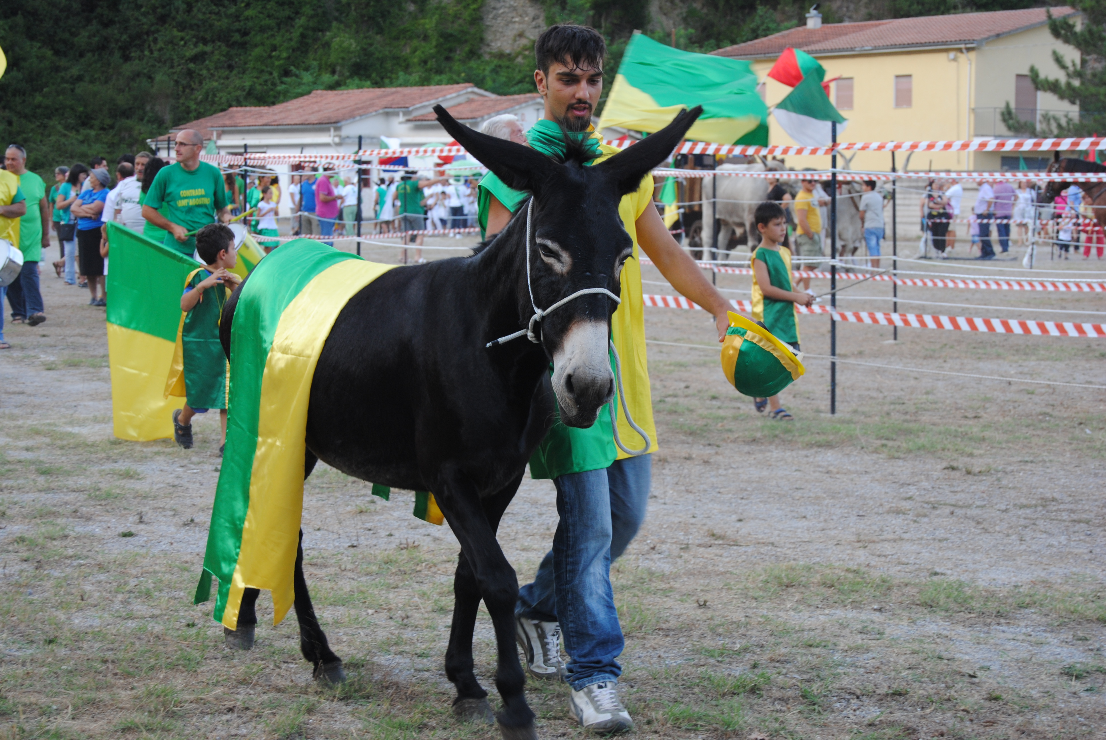 Alessandro Vannucci_fantino vincitore del Paliu 2012