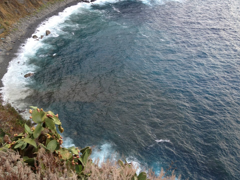 Foto inquinamento marinella palmi