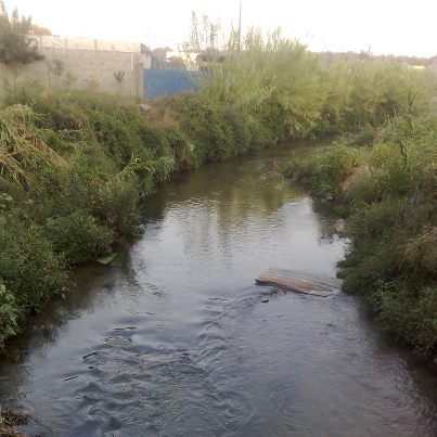 foto dello stato attuale del fiume Budello lungo strada provinicale per Drosi