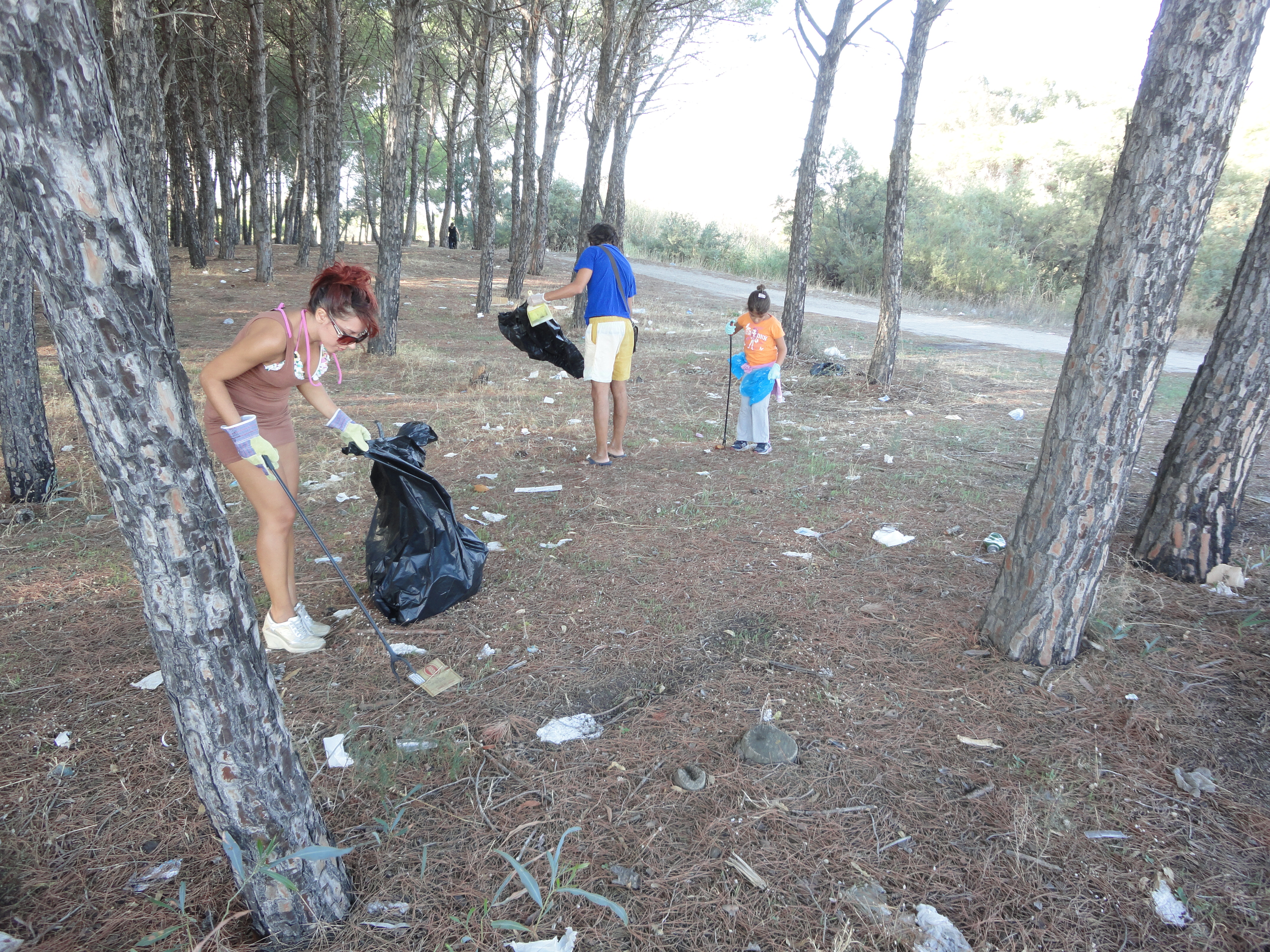 movimento 5 stelle 1