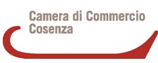 camera commercio cosenza