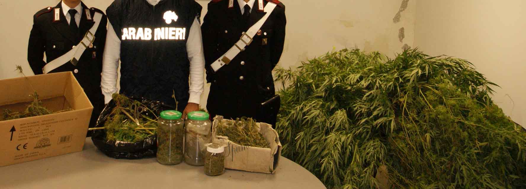 sostanza-stupefacente-rinvenuta