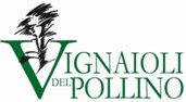 vignaioli pollino