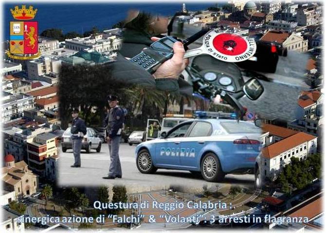 Foto Falchi -Volanti