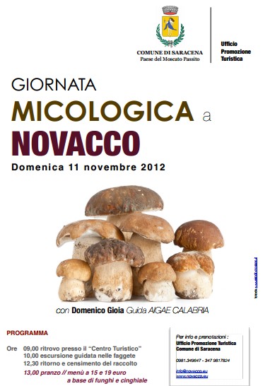 saracena giornata micologica