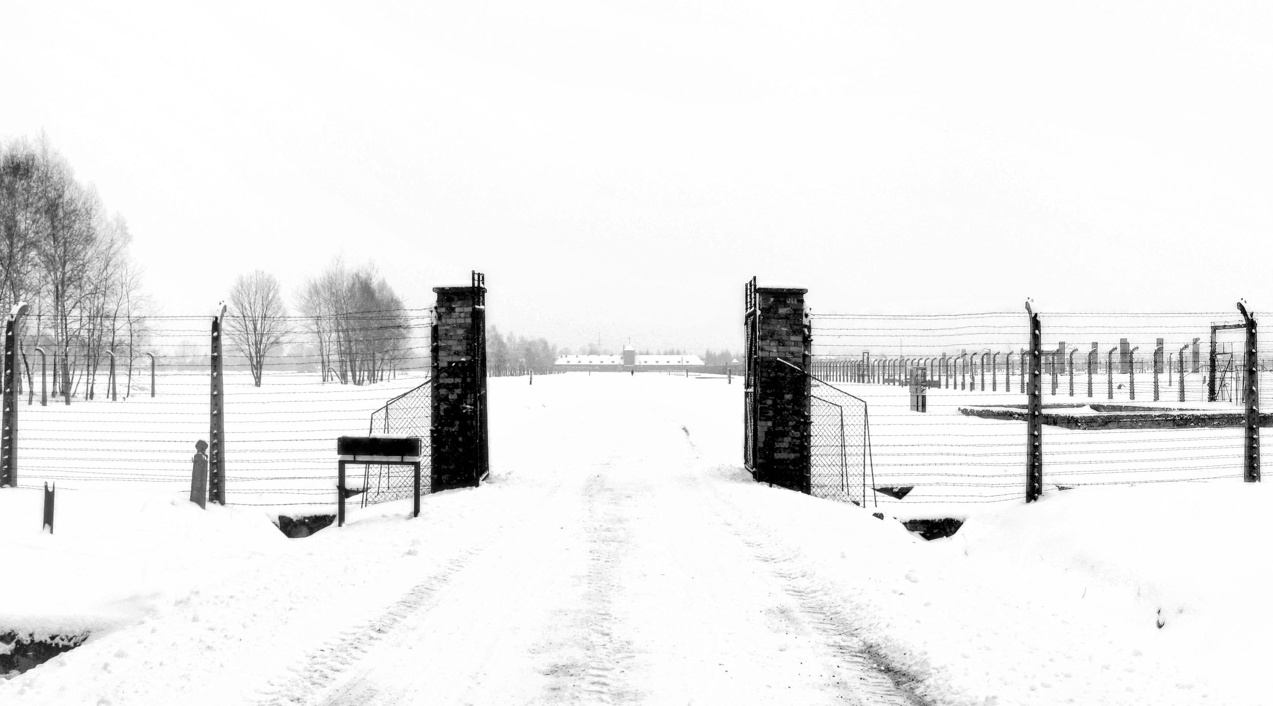 auschwitz-birkenau