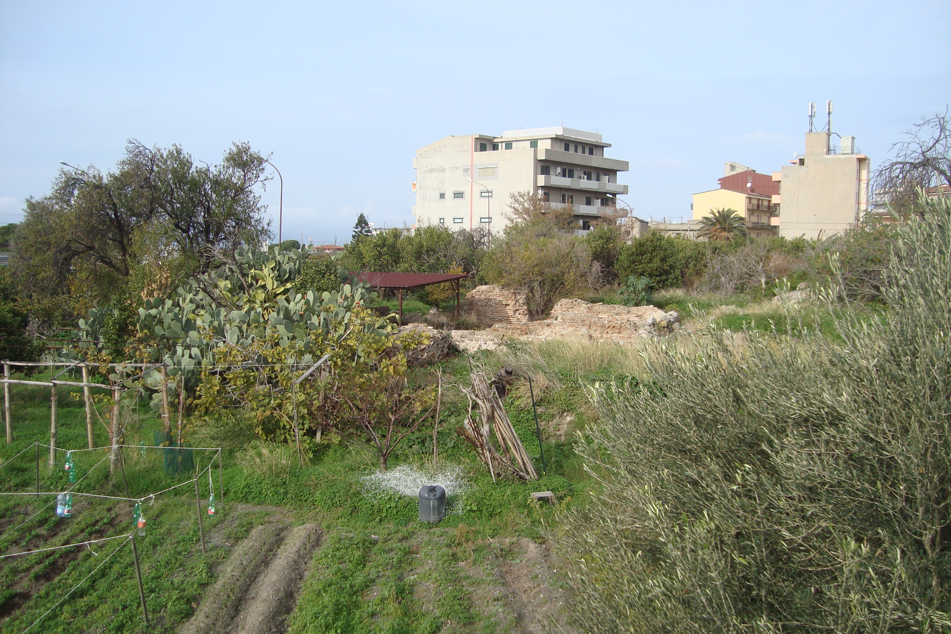 lazzaro-beni-culturali