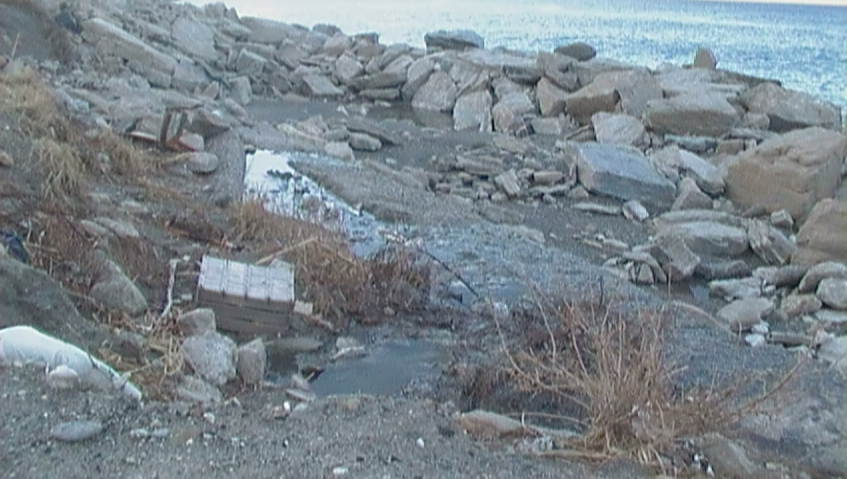 arenile-foce-torrente-saetta-foto-del-14-02-2013