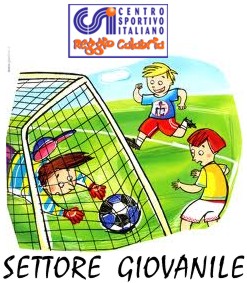 allievi-giovanissimi-juniores-pulcini-esordienti