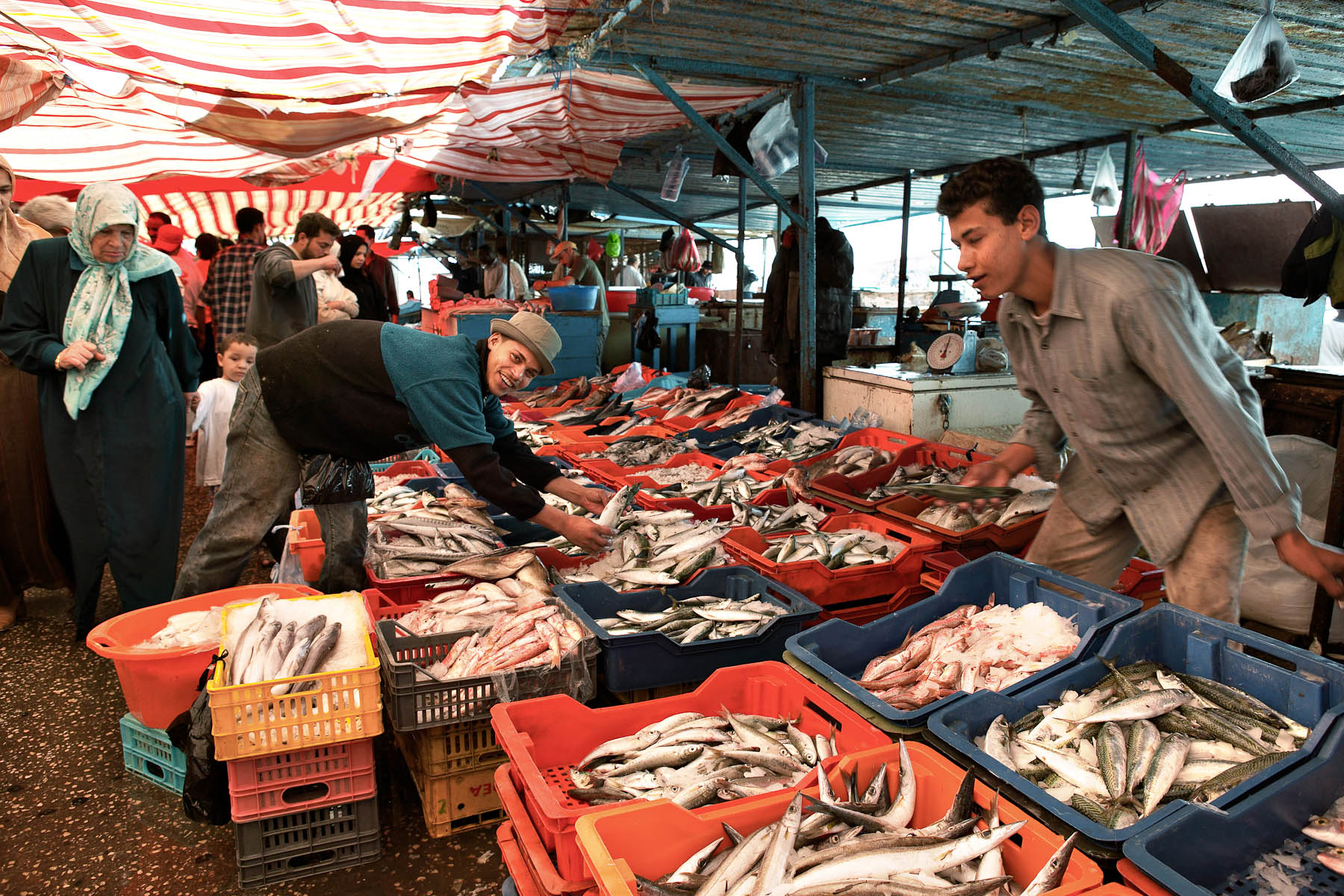 mercato-del-pesce
