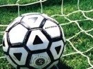 pallone in rete