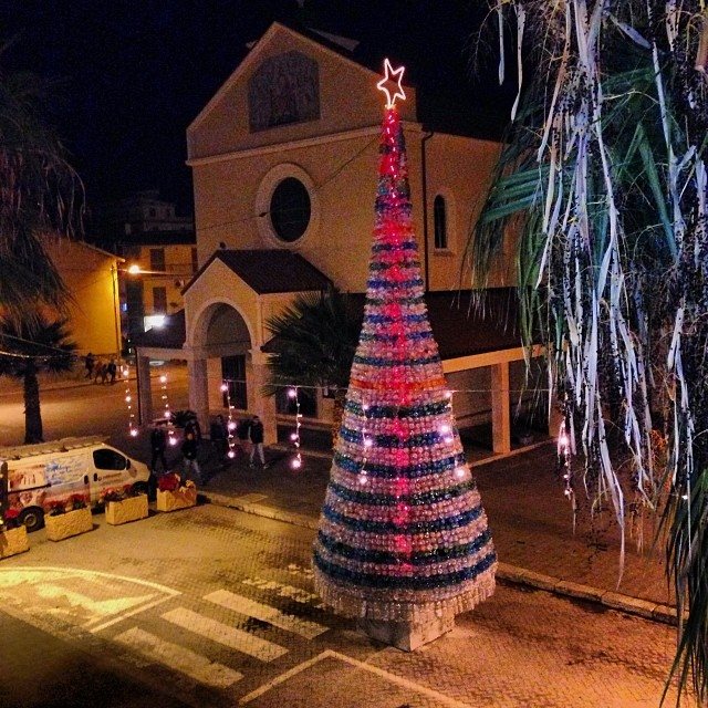 albero-natale-sostenibile-condofuri