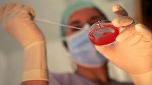 inaugurazione centro a scilla