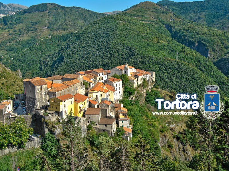 Tortora