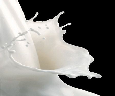 latte rubrica