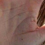 minacce con armi a casignana