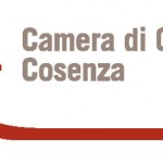 camera di commercio cosenza