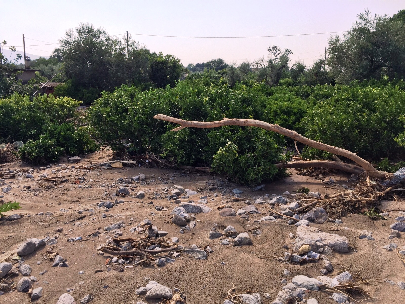 alluvione rossano