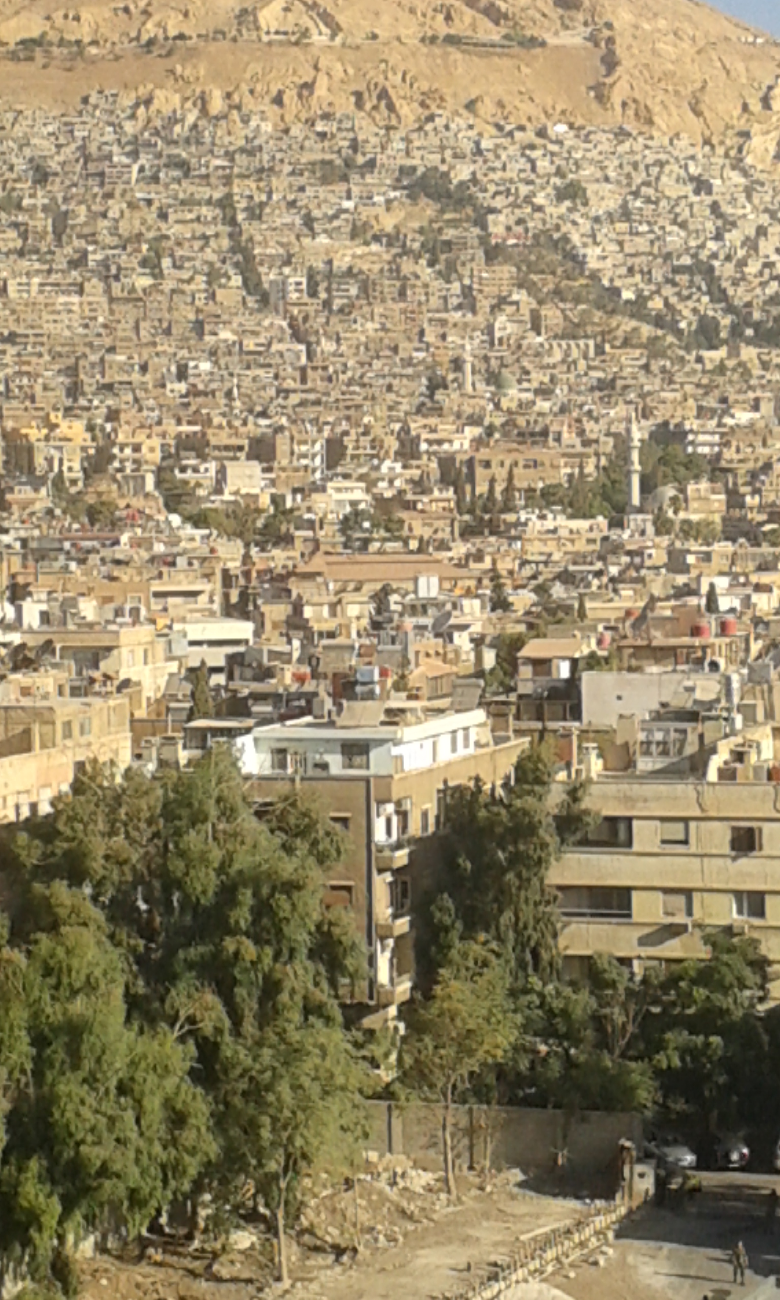 Damasco, Gigliotti