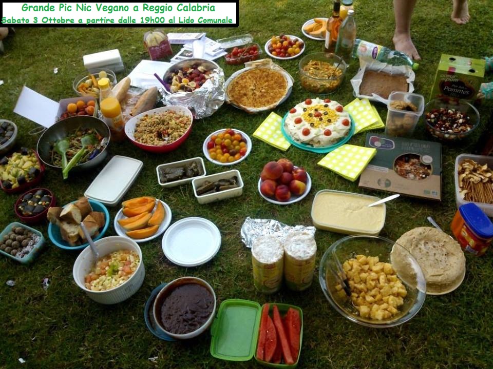 Grande-Pic-Nic-Vegano-a-Reggio-Calabria