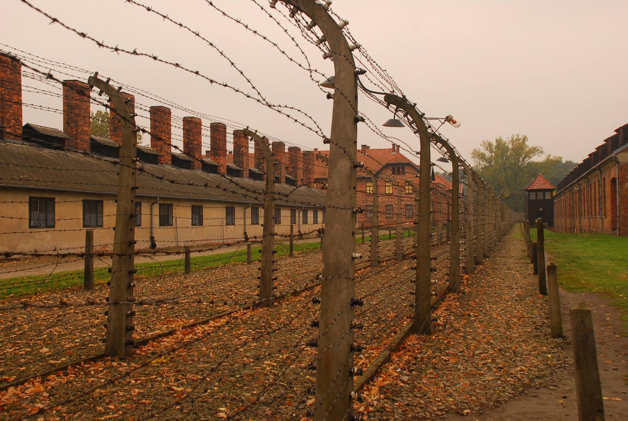 Auschwitz